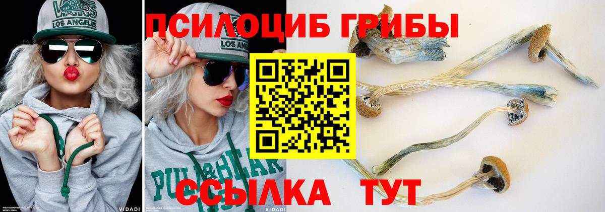 Каспийск  Псилоцибиновые грибы мухоморы  Вход с VPN  Псилоцибиновые грибы мухоморы 